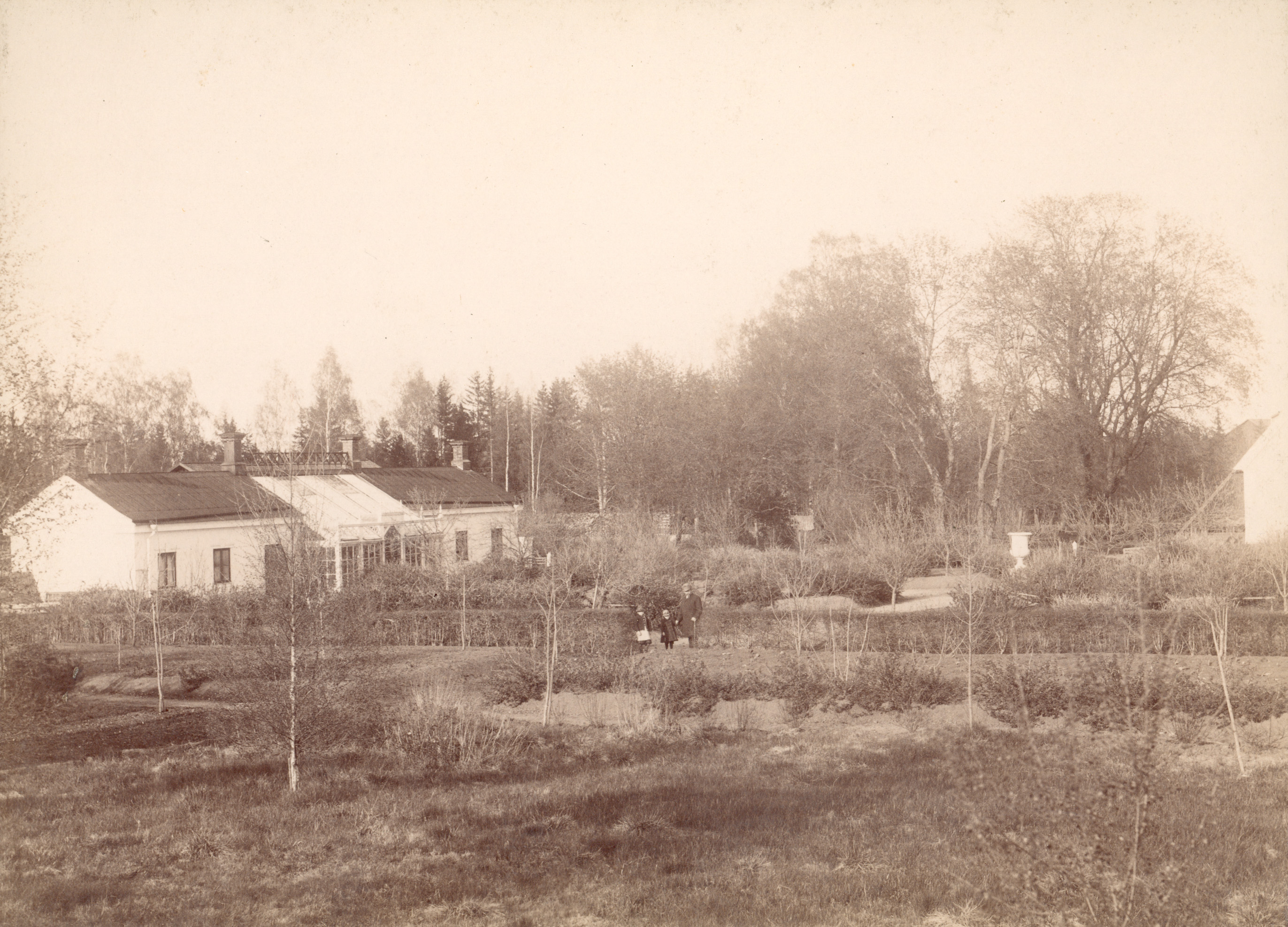 Axmars gamla trädgård